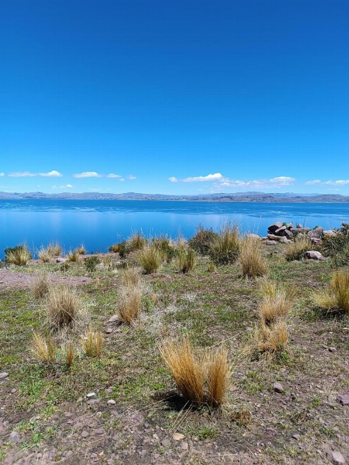 Taquile Familia Celso image 16