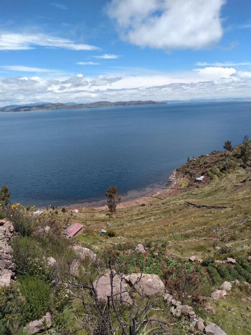 Taquile Familia Celso image 36